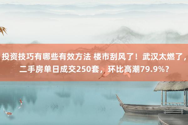 投资技巧有哪些有效方法 楼市刮风了！武汉太燃了，二手房单日成交250套，环比高潮79.9%？