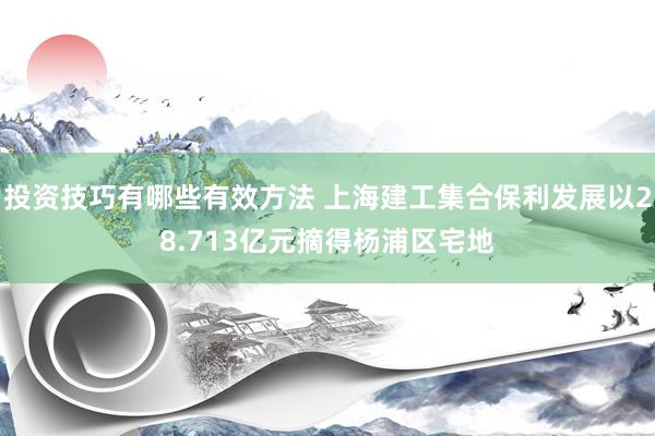 投资技巧有哪些有效方法 上海建工集合保利发展以28.713亿元摘得杨浦区宅地