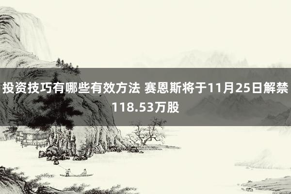 投资技巧有哪些有效方法 赛恩斯将于11月25日解禁118.53万股