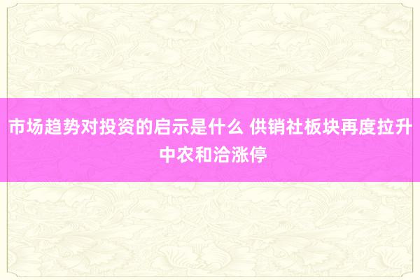 市场趋势对投资的启示是什么 供销社板块再度拉升 中农和洽涨停