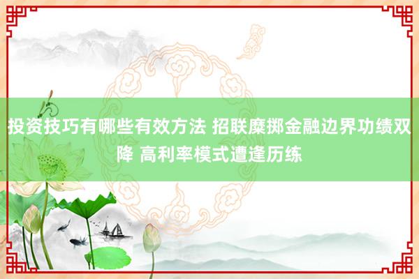 投资技巧有哪些有效方法 招联糜掷金融边界功绩双降 高利率模式遭逢历练