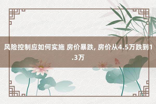 风险控制应如何实施 房价暴跌, 房价从4.5万跌到1.3万