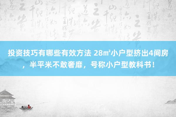 投资技巧有哪些有效方法 28㎡小户型挤出4间房，半平米不敢奢靡，号称小户型教科书！