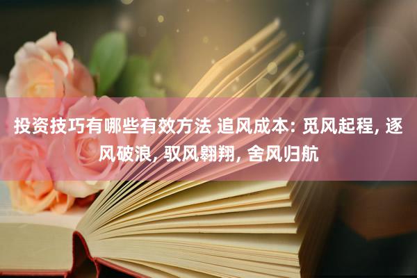 投资技巧有哪些有效方法 追风成本: 觅风起程, 逐风破浪, 驭风翱翔, 舍风归航