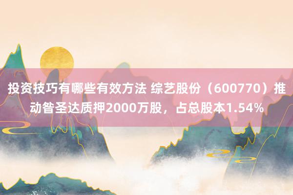 投资技巧有哪些有效方法 综艺股份（600770）推动昝圣达质押2000万股，占总股本1.54%