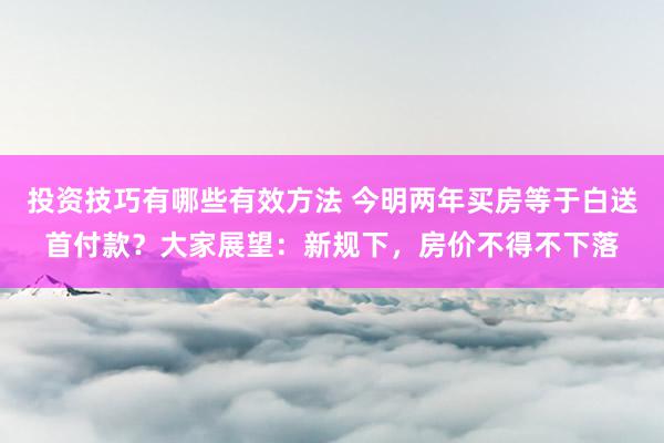 投资技巧有哪些有效方法 今明两年买房等于白送首付款？大家展望：新规下，房价不得不下落