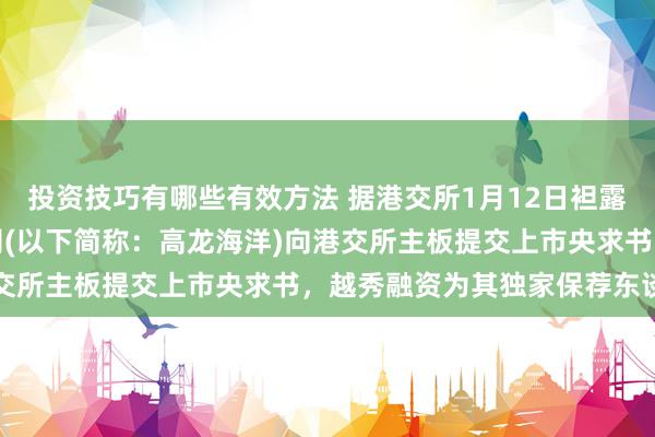 投资技巧有哪些有效方法 据港交所1月12日袒露，高龙海洋集团有限公司(以下简称：高龙海洋)向港交所主板提交上市央求书，越秀融资为其独家保荐东谈主