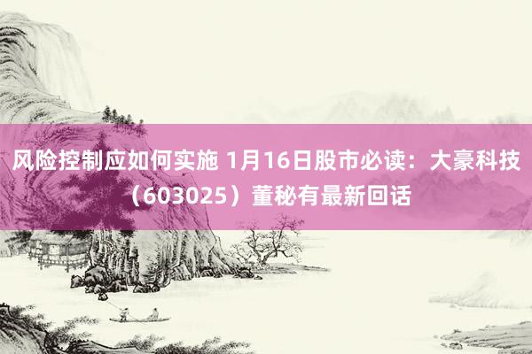 风险控制应如何实施 1月16日股市必读：大豪科技（603025）董秘有最新回话