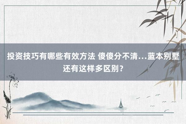 投资技巧有哪些有效方法 傻傻分不清…蓝本别墅还有这样多区别？