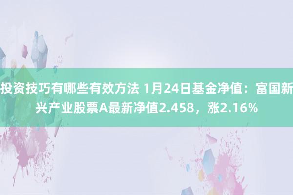 投资技巧有哪些有效方法 1月24日基金净值：富国新兴产业股票A最新净值2.458，涨2.16%