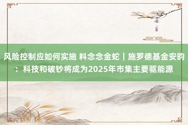 风险控制应如何实施 料念念金蛇｜施罗德基金安昀：科技和破钞将成为2025年市集主要驱能源