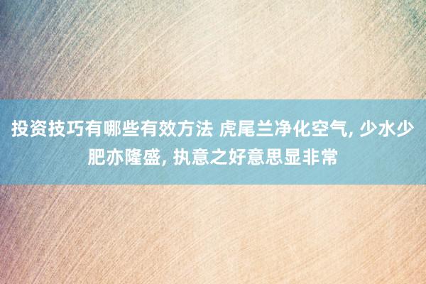 投资技巧有哪些有效方法 虎尾兰净化空气, 少水少肥亦隆盛, 执意之好意思显非常