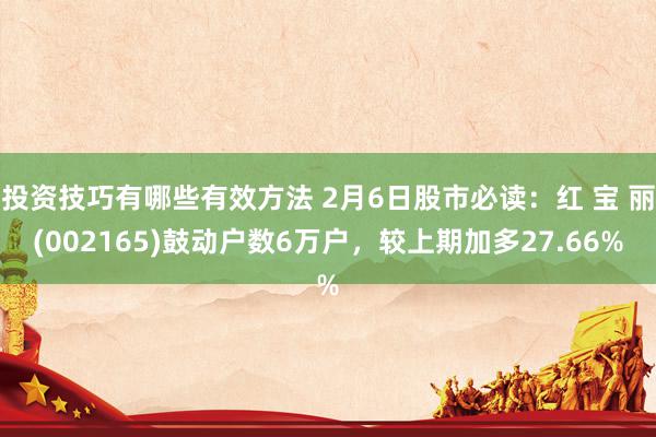 投资技巧有哪些有效方法 2月6日股市必读：红 宝 丽(002165)鼓动户数6万户，较上期加多27.66%