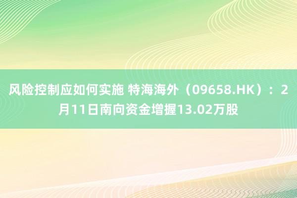 风险控制应如何实施 特海海外（09658.HK）：2月11日南向资金增握13.02万股