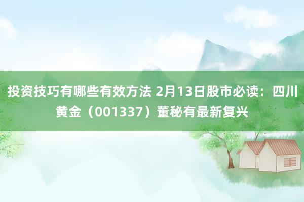 投资技巧有哪些有效方法 2月13日股市必读：四川黄金（001337）董秘有最新复兴