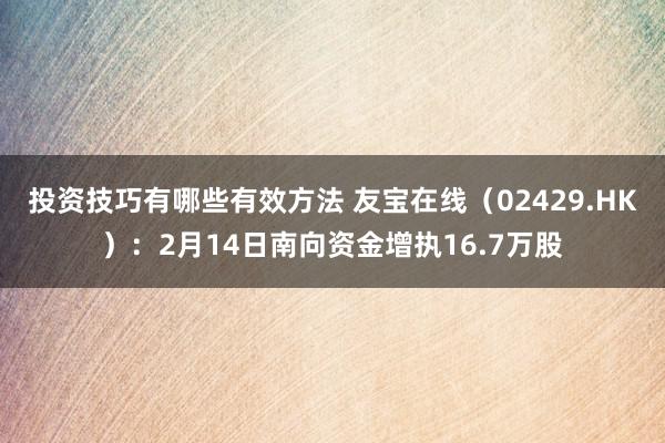 投资技巧有哪些有效方法 友宝在线（02429.HK）：2月14日南向资金增执16.7万股