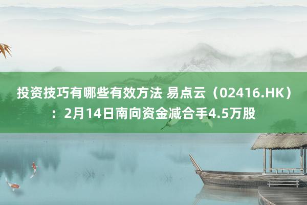 投资技巧有哪些有效方法 易点云（02416.HK）：2月14日南向资金减合手4.5万股