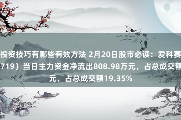 投资技巧有哪些有效方法 2月20日股市必读：爱科赛博（688719）当日主力资金净流出808.98万元，占总成交额19.35%