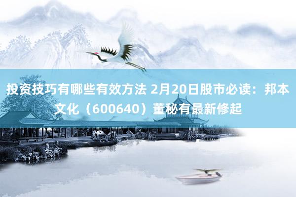 投资技巧有哪些有效方法 2月20日股市必读：邦本文化（600640）董秘有最新修起