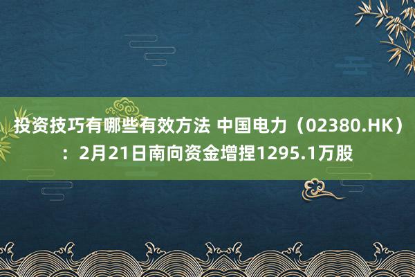 投资技巧有哪些有效方法 中国电力（02380.HK）：2月21日南向资金增捏1295.1万股