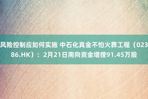 风险控制应如何实施 中石化真金不怕火葬工程（02386.HK）：2月21日南向资金增捏91.45万股