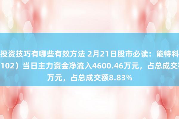 投资技巧有哪些有效方法 2月21日股市必读：能特科技（002102）当日主力资金净流入4600.46万元，占总成交额8.83%