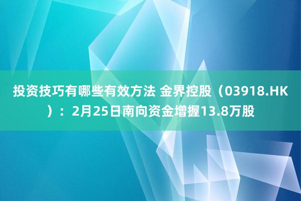 投资技巧有哪些有效方法 金界控股（03918.HK）：2月25日南向资金增握13.8万股