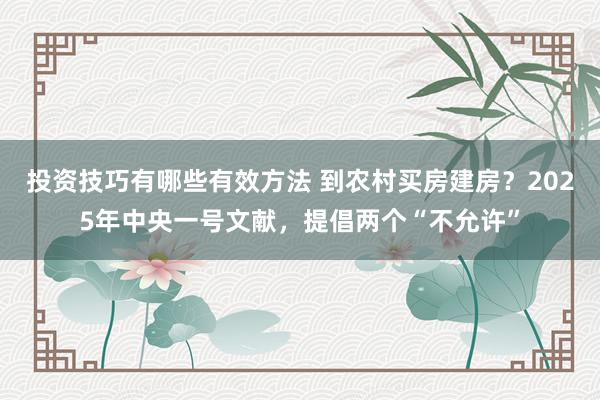 投资技巧有哪些有效方法 到农村买房建房？2025年中央一号文献，提倡两个“不允许”