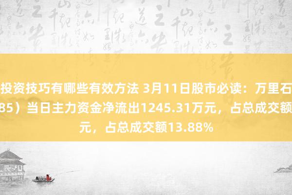 投资技巧有哪些有效方法 3月11日股市必读：万里石（002785）当日主力资金净流出1245.31万元，占总成交额13.88%