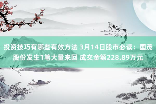 投资技巧有哪些有效方法 3月14日股市必读：国茂股份发生1笔大量来回 成交金额228.89万元