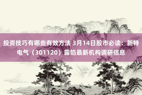 投资技巧有哪些有效方法 3月14日股市必读：新特电气（301120）露馅最新机构调研信息